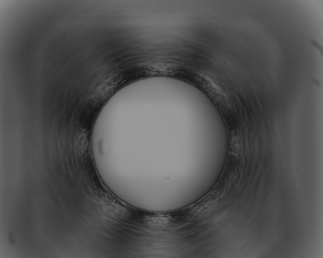 X0000092320318200710051301