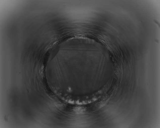 X0000092320319200710051301