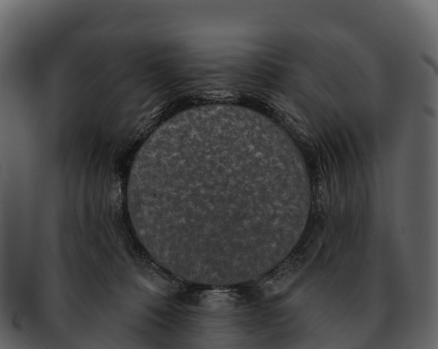 X0000092320320200710051301