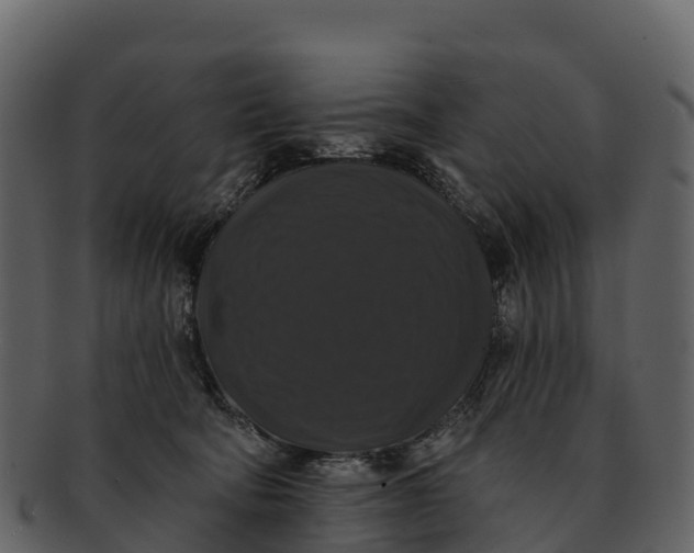X0000092320322200710051301