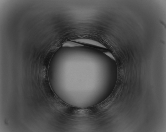 X0000092320323200710051301