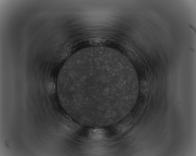 X0000092320324200710051301