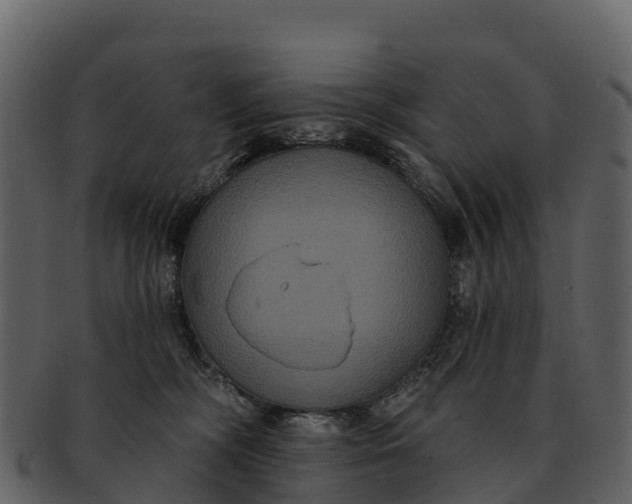 X0000092320326200710051301