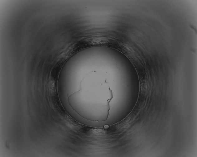 X0000092320327200710051301