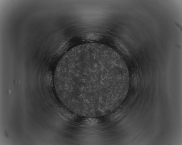 X0000092320328200710051301