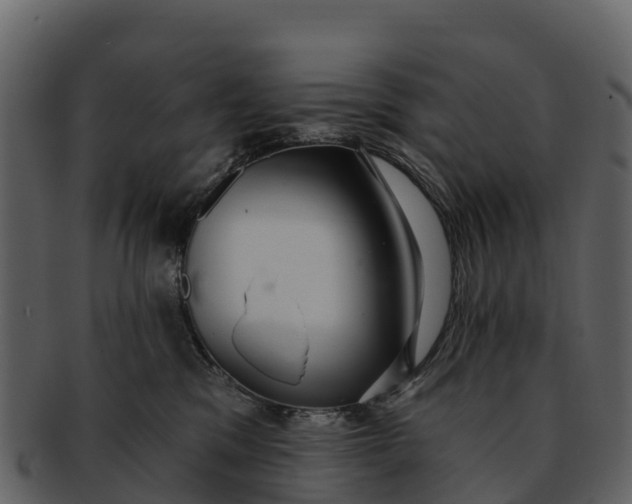 X0000092320329200710051301