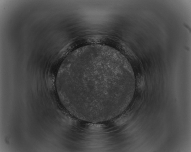 X0000092320332200710051301