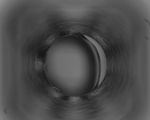 X0000092320333200710051301