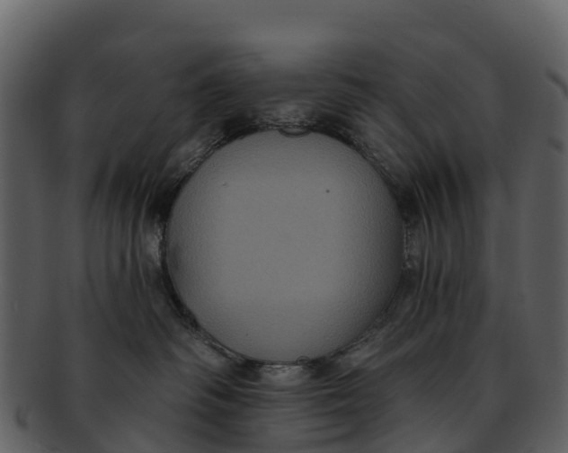 X0000092320334200710051301
