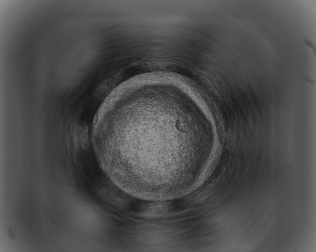 X0000092320335200710051301