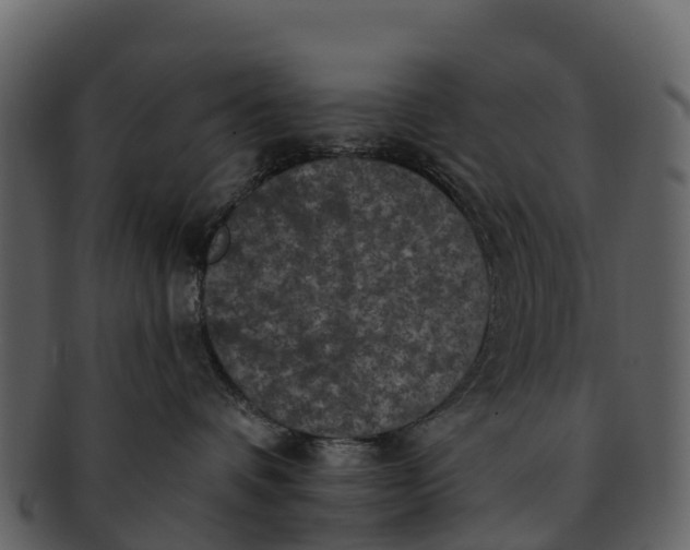 X0000092320336200710051301