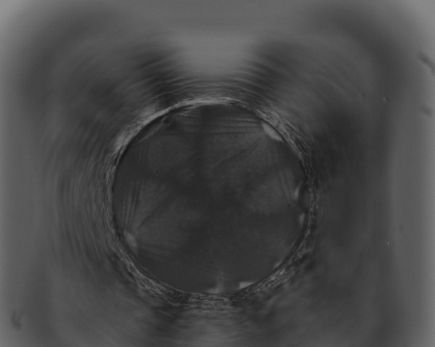 X0000092320337200710051300