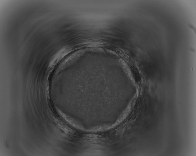 X0000092320339200710051300