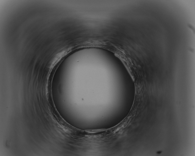 X0000092320340200710051300