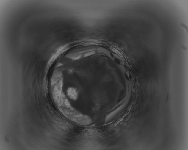 X0000092320343200710051300