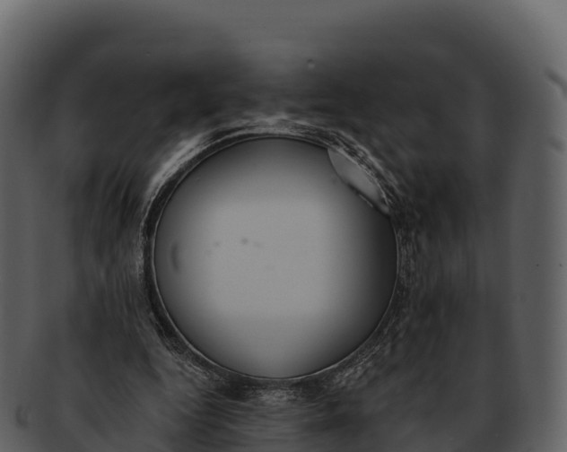 X0000092320344200710051300