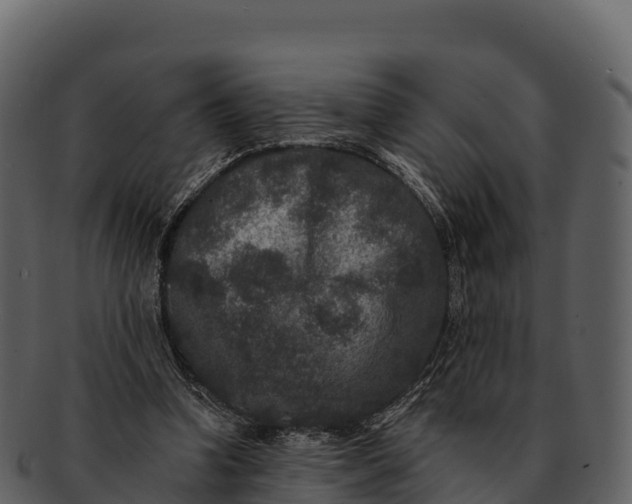 X0000092320346200710051300