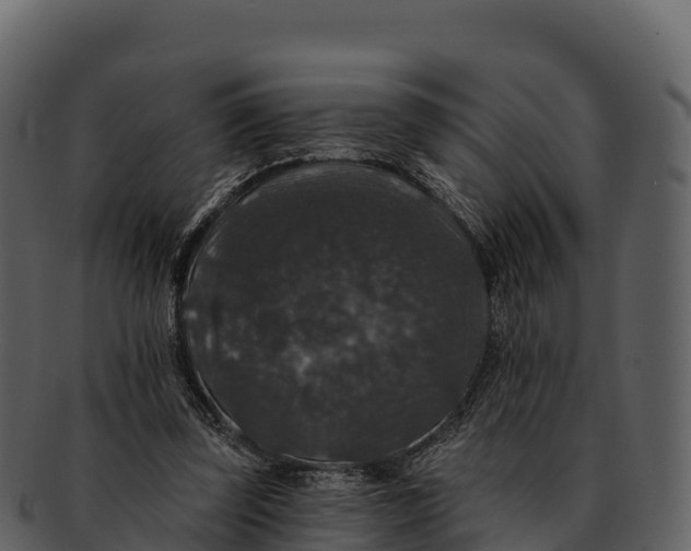 X0000092320347200710051301