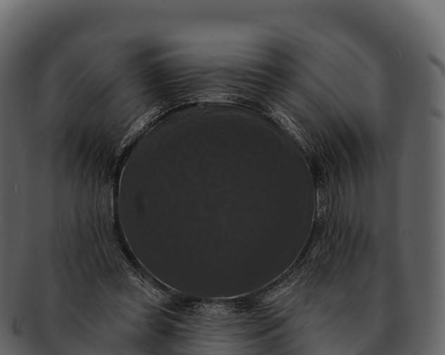X0000092320349200710051301