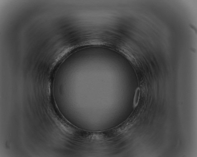 X0000092320350200710051301