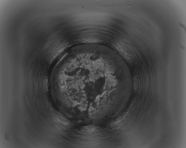 X0000092320351200710051301