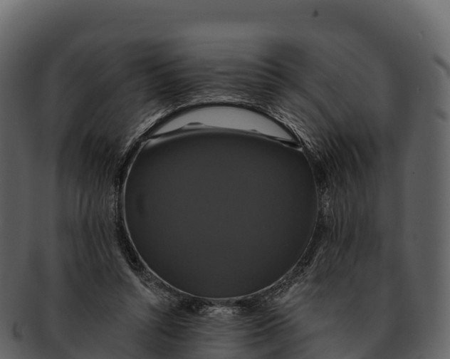 X0000092320352200710051301