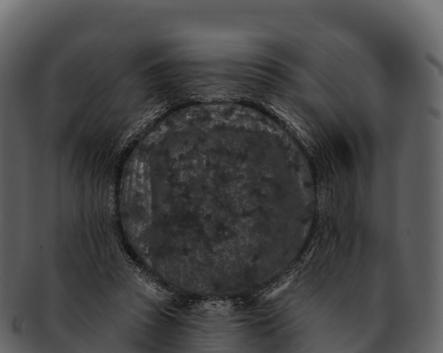 X0000092320353200710051301