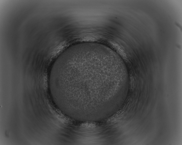 X0000092320354200710051301
