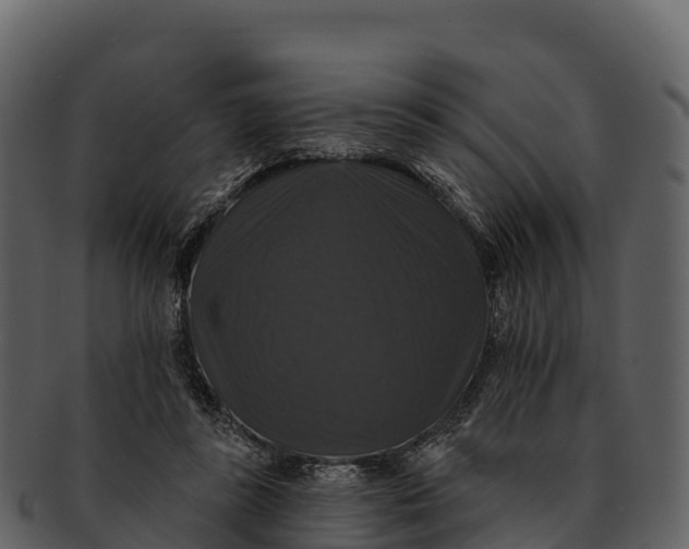 X0000092320355200710051301