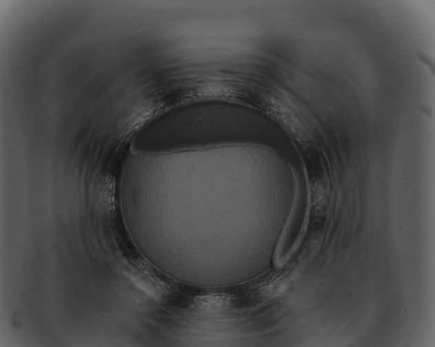X0000092320356200710051301