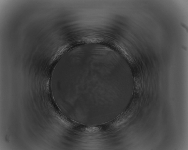 X0000092320357200710051301