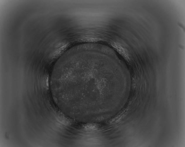 X0000092320358200710051301