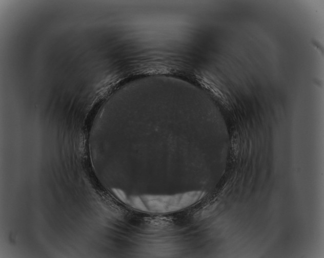X0000092320359200710051301