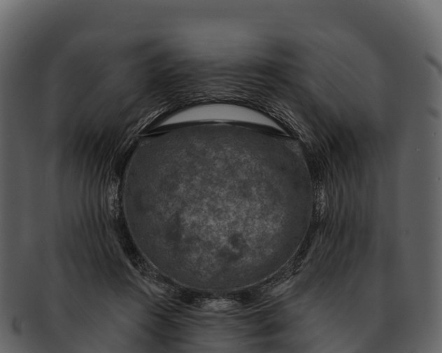 X0000092320360200710051301