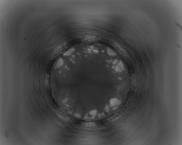 X0000092320361200710051301