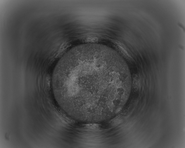 X0000092320363200710051301