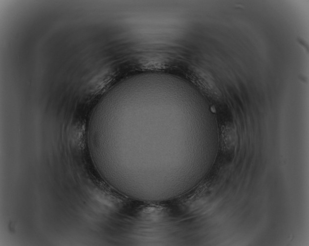 X0000092320364200710051301