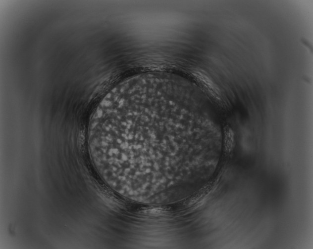 X0000092320365200710051301