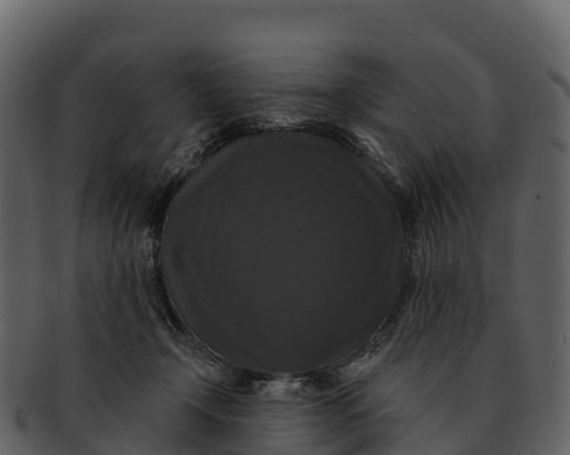 X0000092320366200710051301