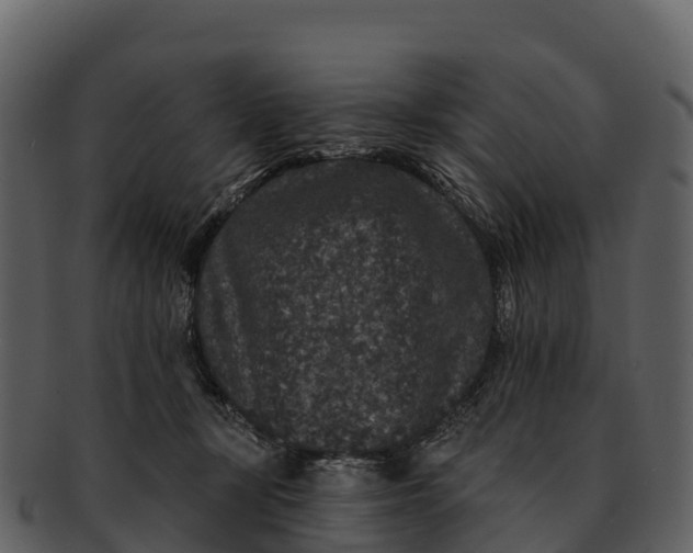 X0000092320367200710051301