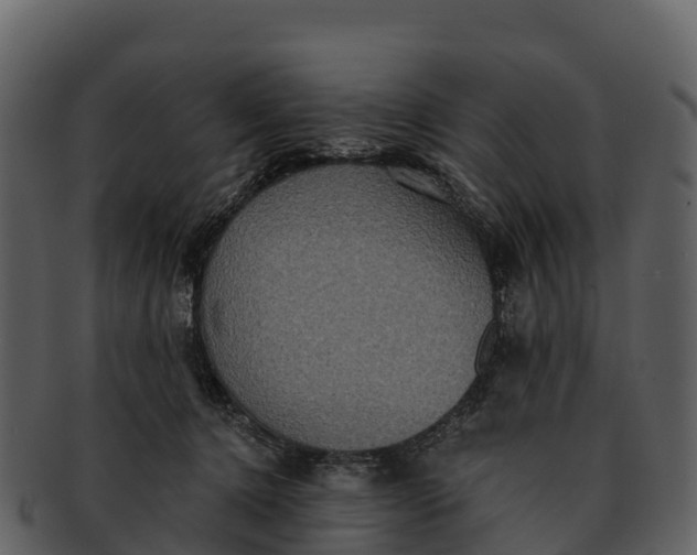 X0000092320368200710051301