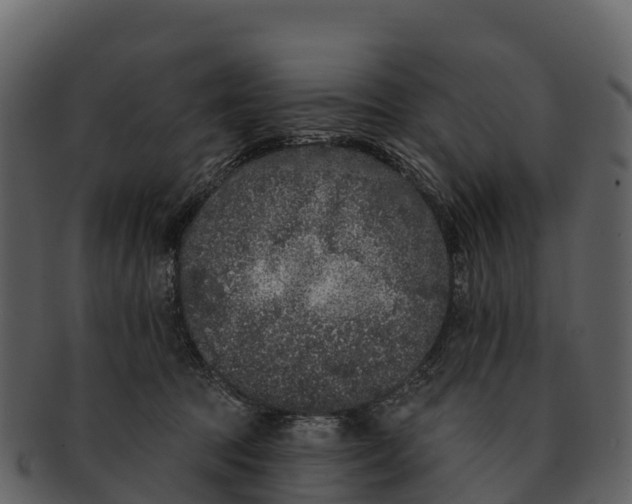 X0000092320369200710051301