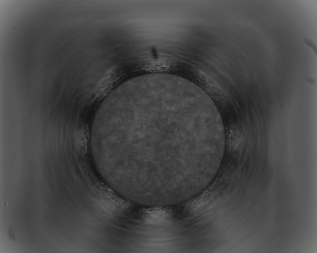 X0000092320370200710051301