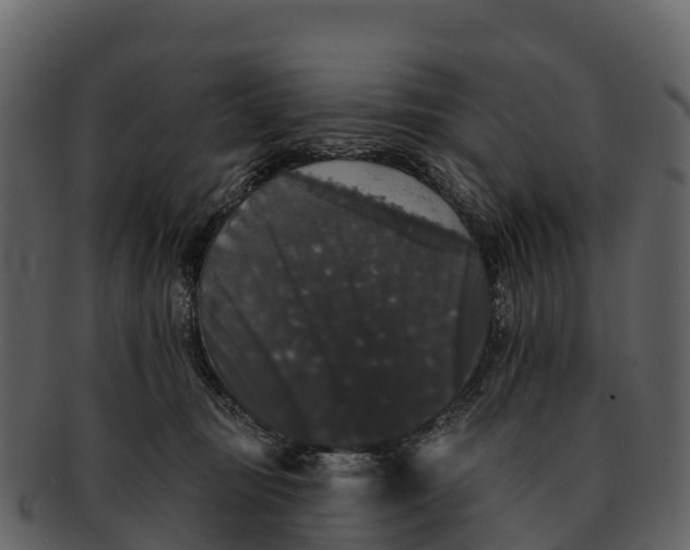 X0000092320371200710051301