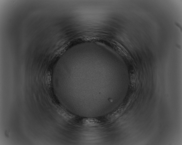 X0000092320372200710051301