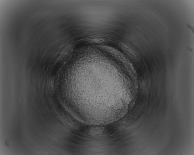 X0000092320373200710051301