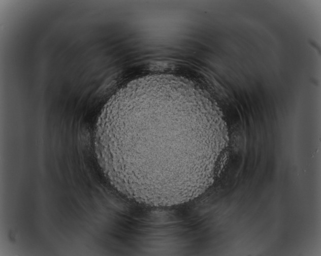 X0000092320375200710051301