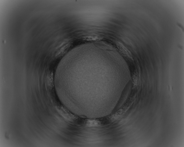X0000092320376200710051301
