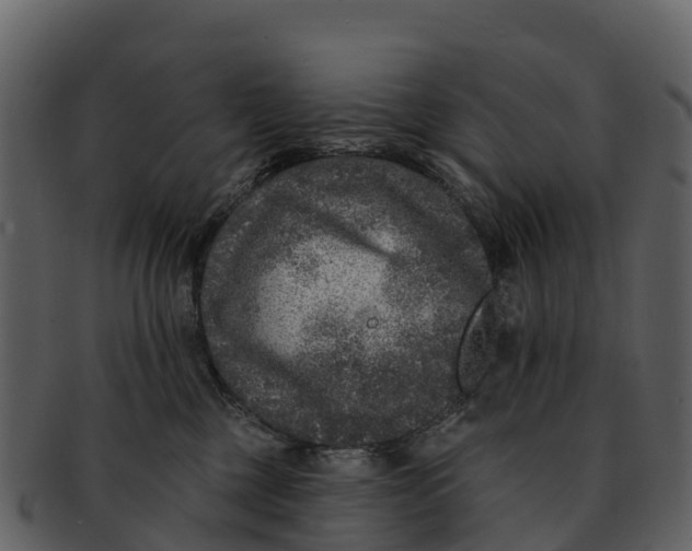 X0000092320377200710051301