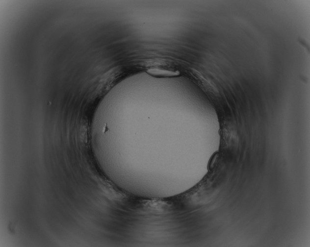 X0000092320379200710051301